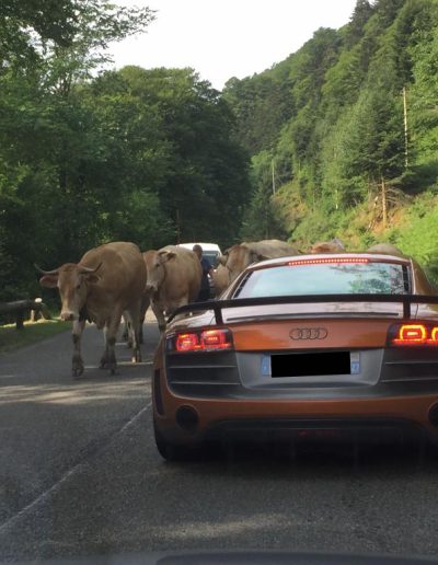 Rallye des Pyrénées - Lotus - Corse GT Classic